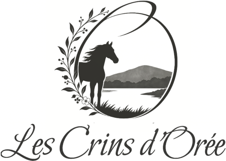 Nom De L'entreprise