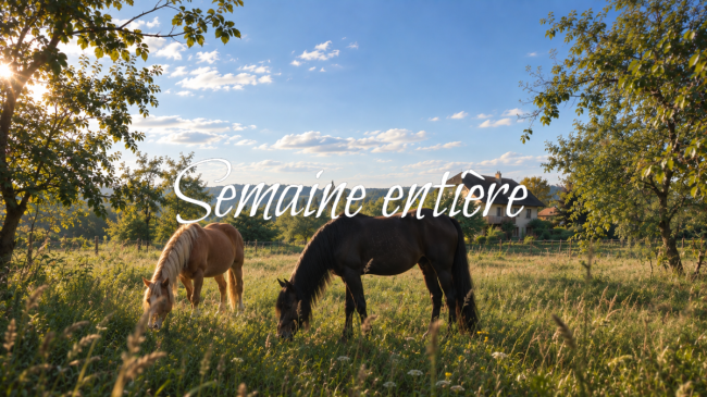Semaine complète aux Crins d'Orée